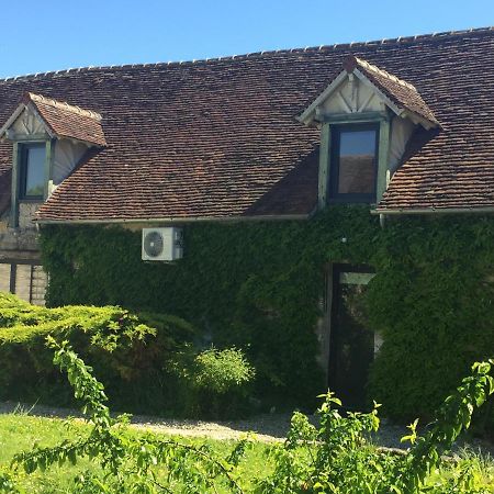 Вілла Un Figuier Dans Notre Jardin Beaune-la-Rolande Номер фото